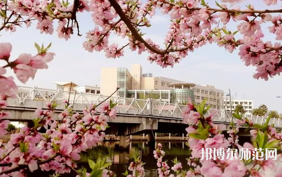 溫州師范大學(xué)學(xué)院路校區(qū)2023年怎么樣、好不好