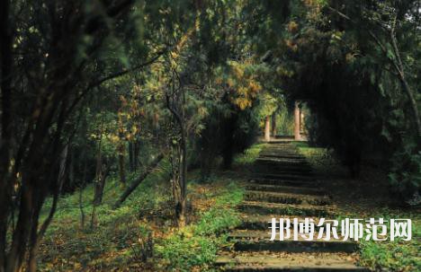 延安大學(xué)西安創(chuàng)新師范學(xué)院2023年怎么樣、好不好