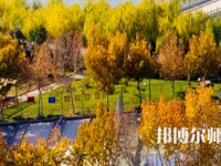 河南理工師范大學(xué)北校區(qū)2023年報(bào)名條件、招生要求、招生對象