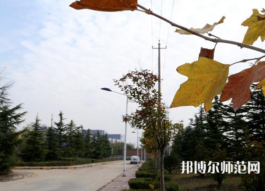 陜西職業(yè)技術(shù)師范學(xué)院2023年報(bào)名條件、招生要求、招生對象 