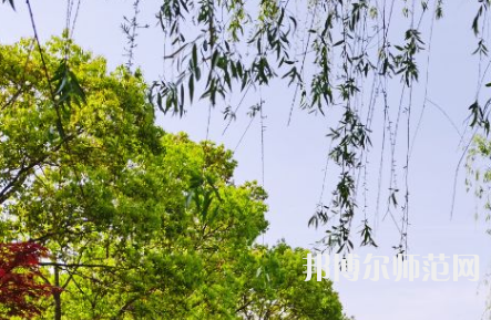 南陽理工師范學院2023年報名條件、招生要求、招生對象