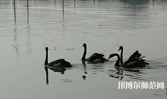 浙江師范大學(xué)行知學(xué)院蘭溪校區(qū)2023年怎么樣、好不好