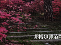 信陽(yáng)師范學(xué)院華銳學(xué)院2023年報(bào)名條件、招生要求、招生對(duì)象