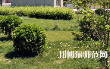安陽幼兒師范高等?？茖W(xué)校歷年招生錄取分數(shù)線