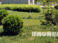 安陽幼兒師范高等專科學(xué)校歷年招生錄取分數(shù)線
