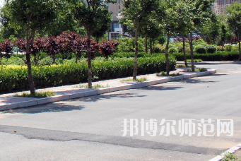安陽幼兒師范高等?？茖W(xué)校2023年有哪些專業(yè)