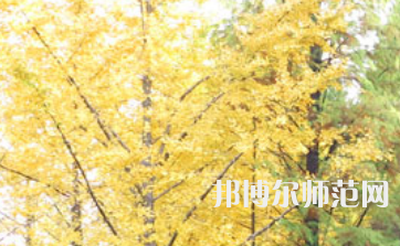 信陽師范學(xué)院2023年怎么樣、好不好
