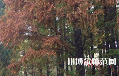 信陽師范學(xué)院2023年怎么樣、好不好