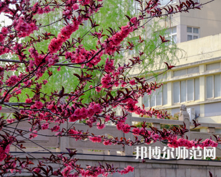 蘇州科技師范大學(xué)天平學(xué)院2023年報名條件、招生要求、招生對象