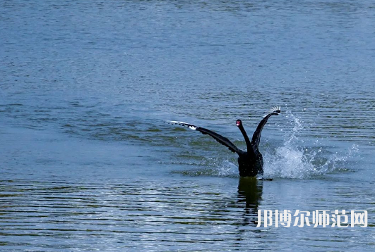 浙江師范大學(xué)2023年怎么樣、好不好