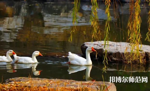 山東財(cái)經(jīng)師范大學(xué)萊蕪校區(qū)2023年報(bào)名條件、招生要求、招生對象 