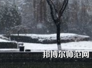 焦作師范高等?？茖W(xué)校2023年招生代碼