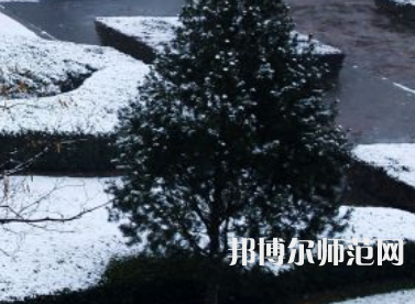焦作師范高等專科學(xué)校2023年報名條件、招生要求、招生對象