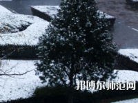 焦作師范高等?？茖W(xué)校2023年報(bào)名條件、招生要求、招生對象