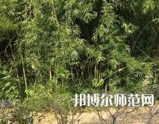 湖南理工師范學(xué)院南湖學(xué)院2023年怎么樣、好不好