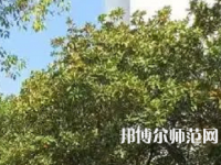 湖南理工師范學(xué)院南湖學(xué)院2023年怎么樣、好不好