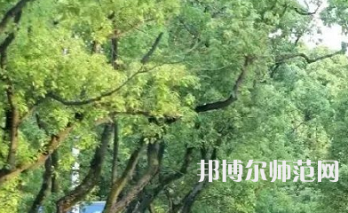 湖南理工師范學(xué)院南湖學(xué)院2023年報(bào)名條件、招生要求、招生對(duì)象