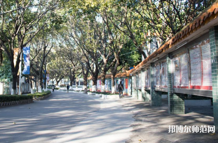 東莞理工師范學(xué)院松山湖校區(qū)2023年怎么樣、好不好