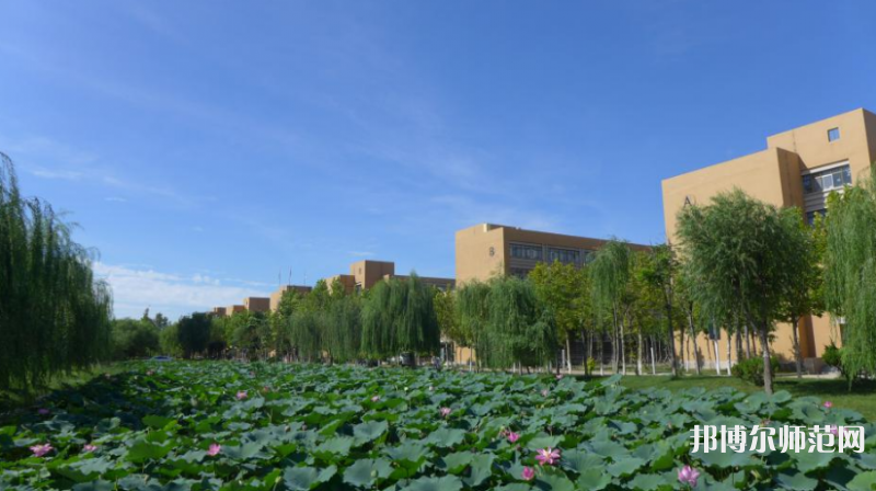 東營職業(yè)師范學(xué)院2023年報(bào)名條件、招生要求、招生對象 