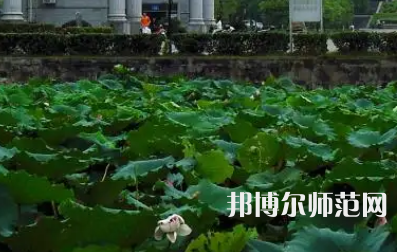 南華師范大學(xué)紅湘校區(qū)2023年報(bào)名條件、招生要求、招生對象