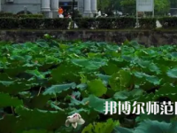 南華師范大學(xué)紅湘校區(qū)2023年報(bào)名條件、招生要求、招生對(duì)象