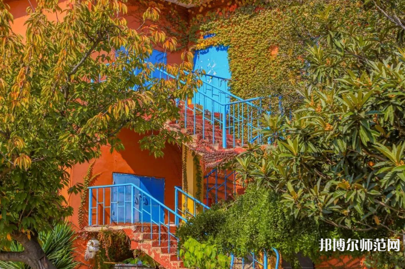 青島科技師范大學(xué)高密校區(qū)2023年報(bào)名條件、招生要求、招生對象 