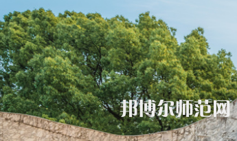 湖南大學(xué)師范學(xué)院財(cái)院校區(qū)2023年報(bào)名條件、招生要求、招生對(duì)象