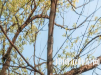 湖南大學(xué)師范學(xué)院南校區(qū)2023年怎么樣、好不好