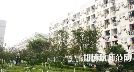 重慶師范大學(xué)涉外商貿(mào)學(xué)院銅梁校區(qū)2023年學(xué)費(fèi)、收費(fèi)多少 