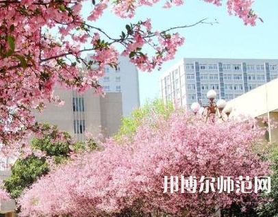 中國礦業(yè)師范大學(xué)徐海學(xué)院2023年報(bào)名條件、招生要求、招生對象
