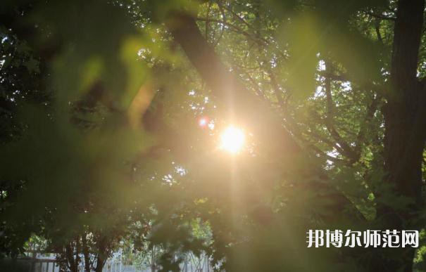 西安職業(yè)中等幼師專業(yè)學校2023年報名條件、招生要求、招生對象