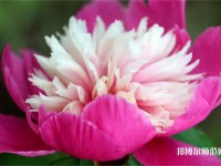 海南師范大學(xué)2023年報名條件、招生要求、招生對象