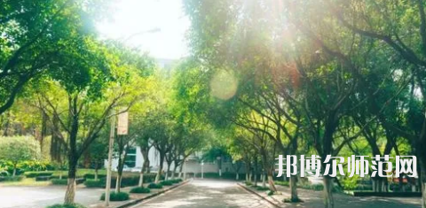 重慶師范大學(xué)涉外商貿(mào)學(xué)院合川校區(qū)2023年報名條件、招生要求、招生對象 