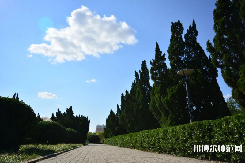 山東石油化工師范學(xué)院2023年報(bào)名條件、招生要求、招生對象 