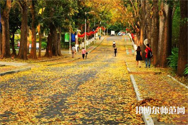海南大學(xué)師范學(xué)院海甸校區(qū)2023年報名條件、招生要求、招生對象 