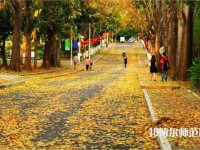 海南大學(xué)師范學(xué)院海甸校區(qū)2023年報名條件、招生要求、招生對象