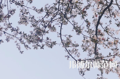湖南第一師范學(xué)院城南書院校區(qū)2023年學(xué)費、收費多少