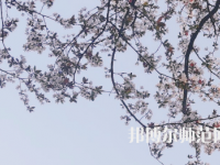 湖南第一師范學(xué)院城南書院校區(qū)2023年學(xué)費、收費多少