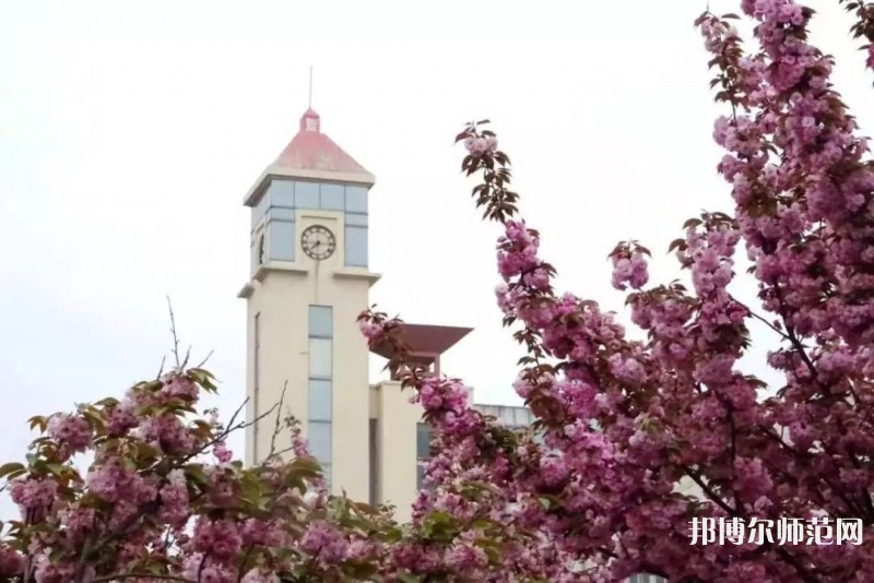 青島師范大學(xué)金家?guī)X校區(qū)2023年報(bào)名條件、招生要求、招生對象 