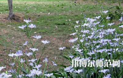 湖南第一師范學(xué)院城南書院校區(qū)2023年怎么樣、好不好