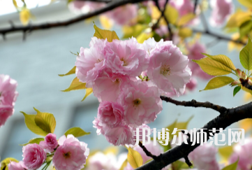 湖南第一師范學院東方紅校區(qū)2023年招生計劃