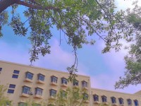 青島師范大學(xué)浮山校區(qū)2023年報(bào)名條件、招生要求、招生對(duì)象
