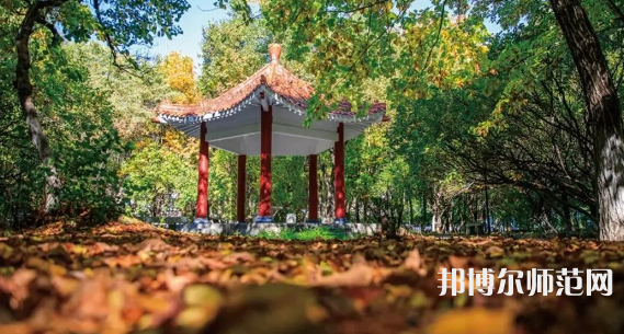 黑龍江師范大學(xué)2023年報(bào)名條件、招生要求、招生對(duì)象 