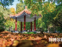 黑龍江師范大學(xué)2023年報名條件、招生要求、招生對象