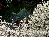 長(zhǎng)江大學(xué)文理師范學(xué)院2023年有哪些專(zhuān)業(yè)