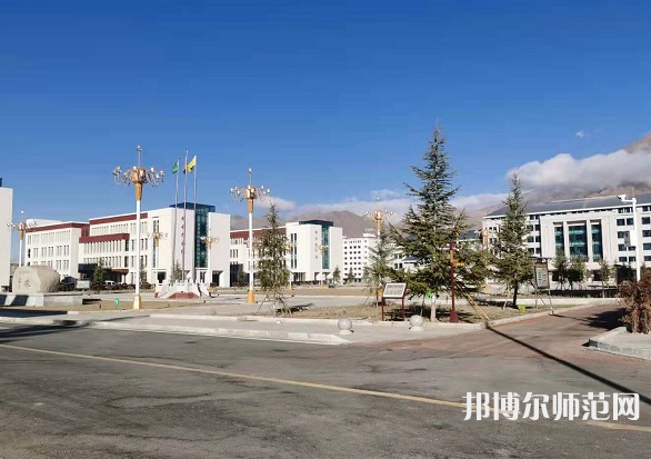 拉薩師范高等?？茖W(xué)校2023年招生計劃
