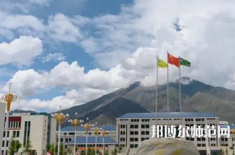 拉薩師范高等?？茖W校2023年招生代碼