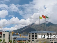拉薩師范高等?？茖W(xué)校2023年招生代碼