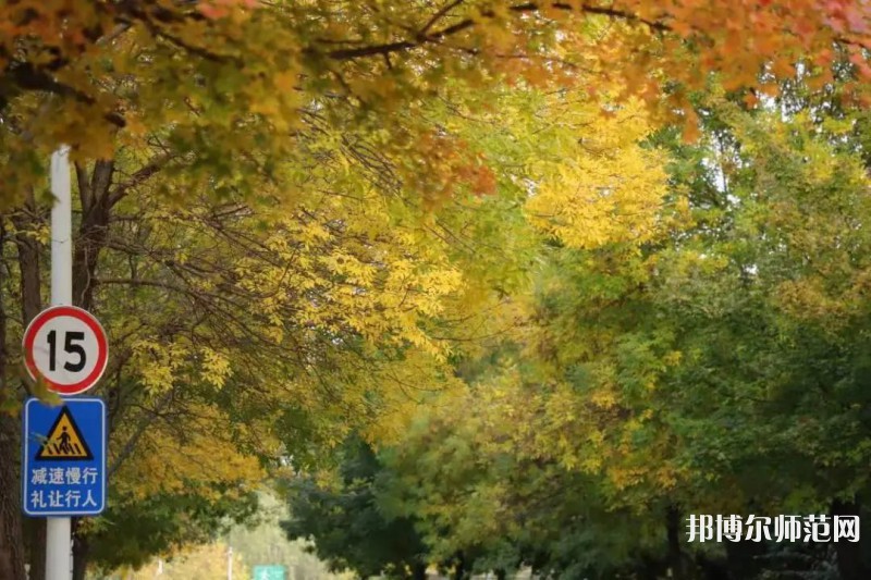 濟南幼兒師范高等?？茖W校2023年有哪些專業(yè)
