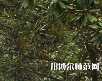 湖南師范大學(xué)樹(shù)達(dá)學(xué)院2023年學(xué)費(fèi)、收費(fèi)多少
